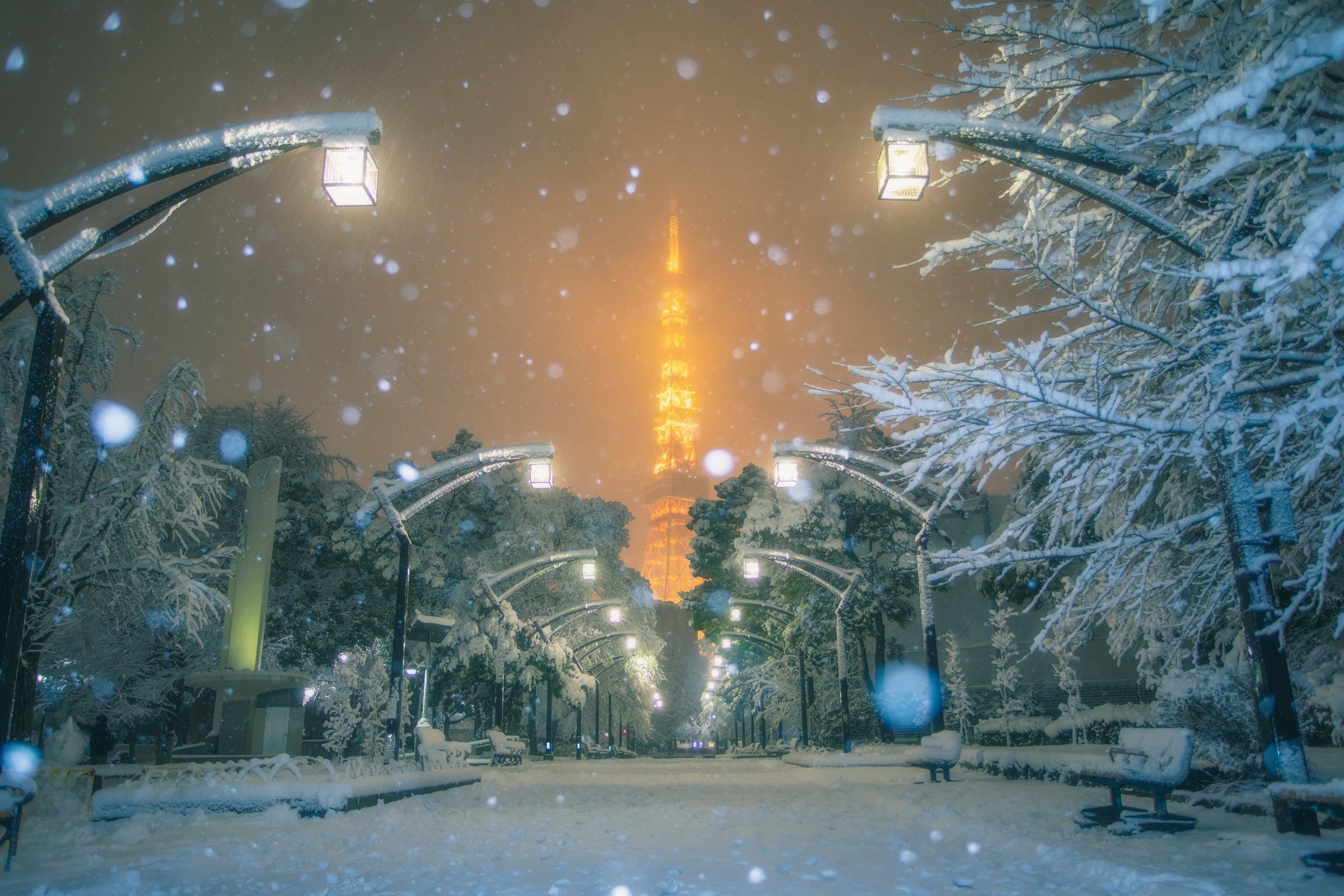 PHOTO WALK CREW 作例 5