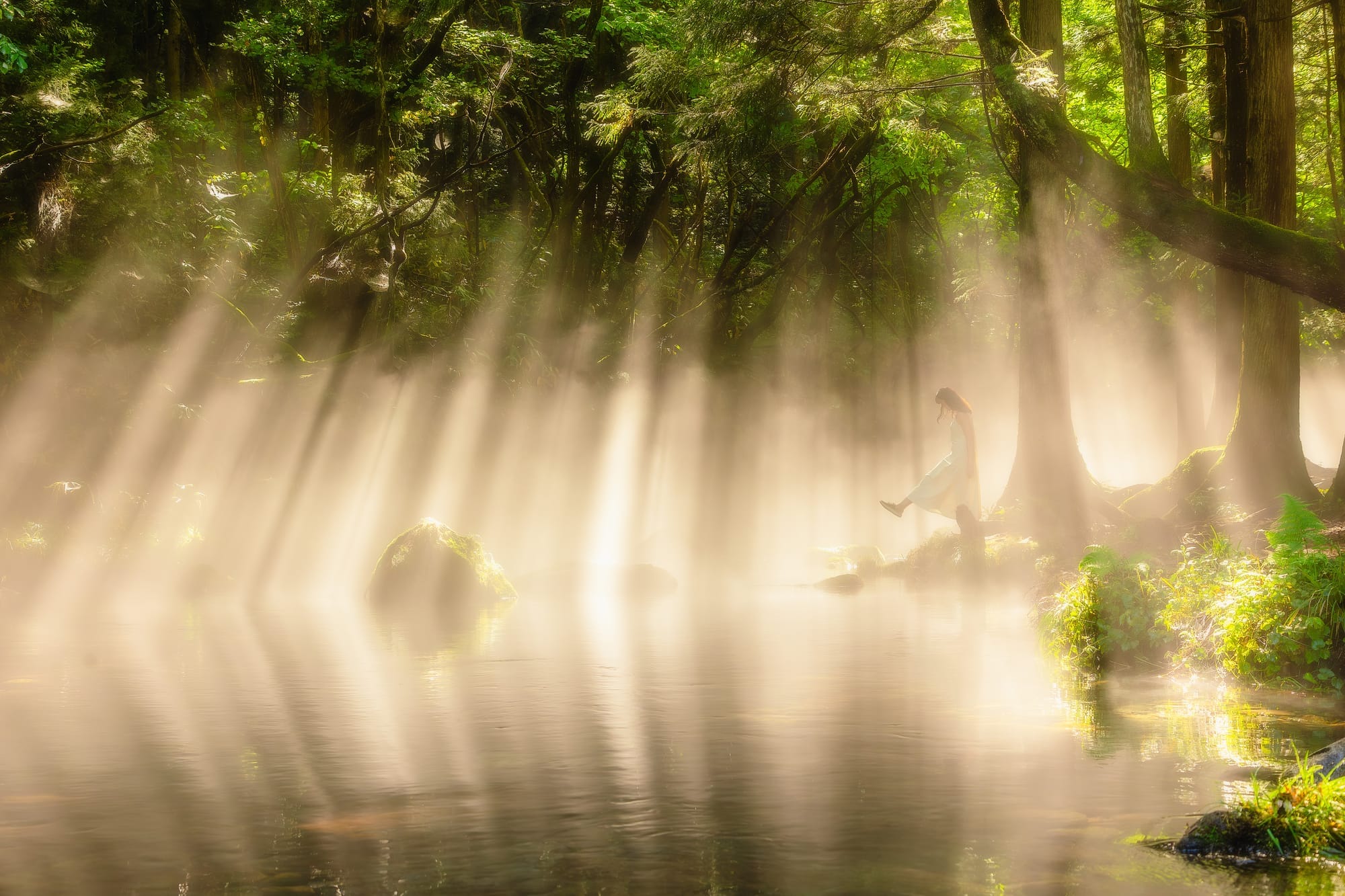 Takahiro Hosoe Portfolio 37