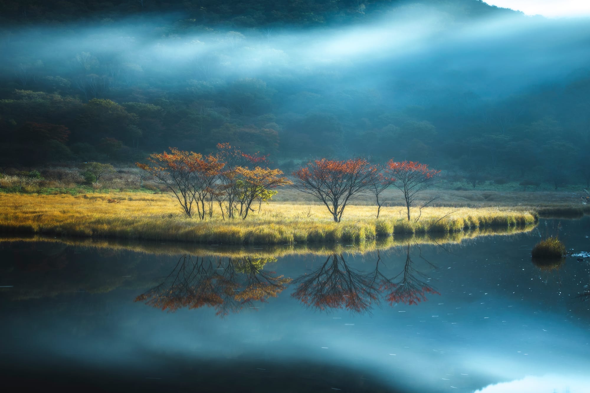 Takahiro Hosoe Portfolio 41